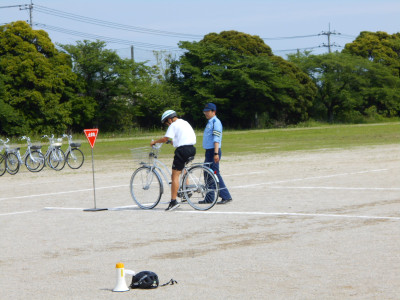 DSCN7982